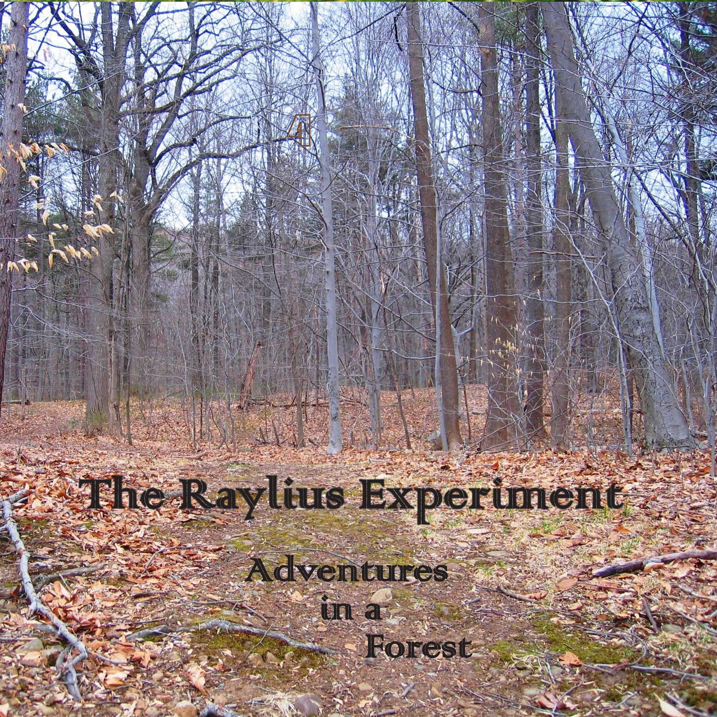 Adventures in a Forest - CD